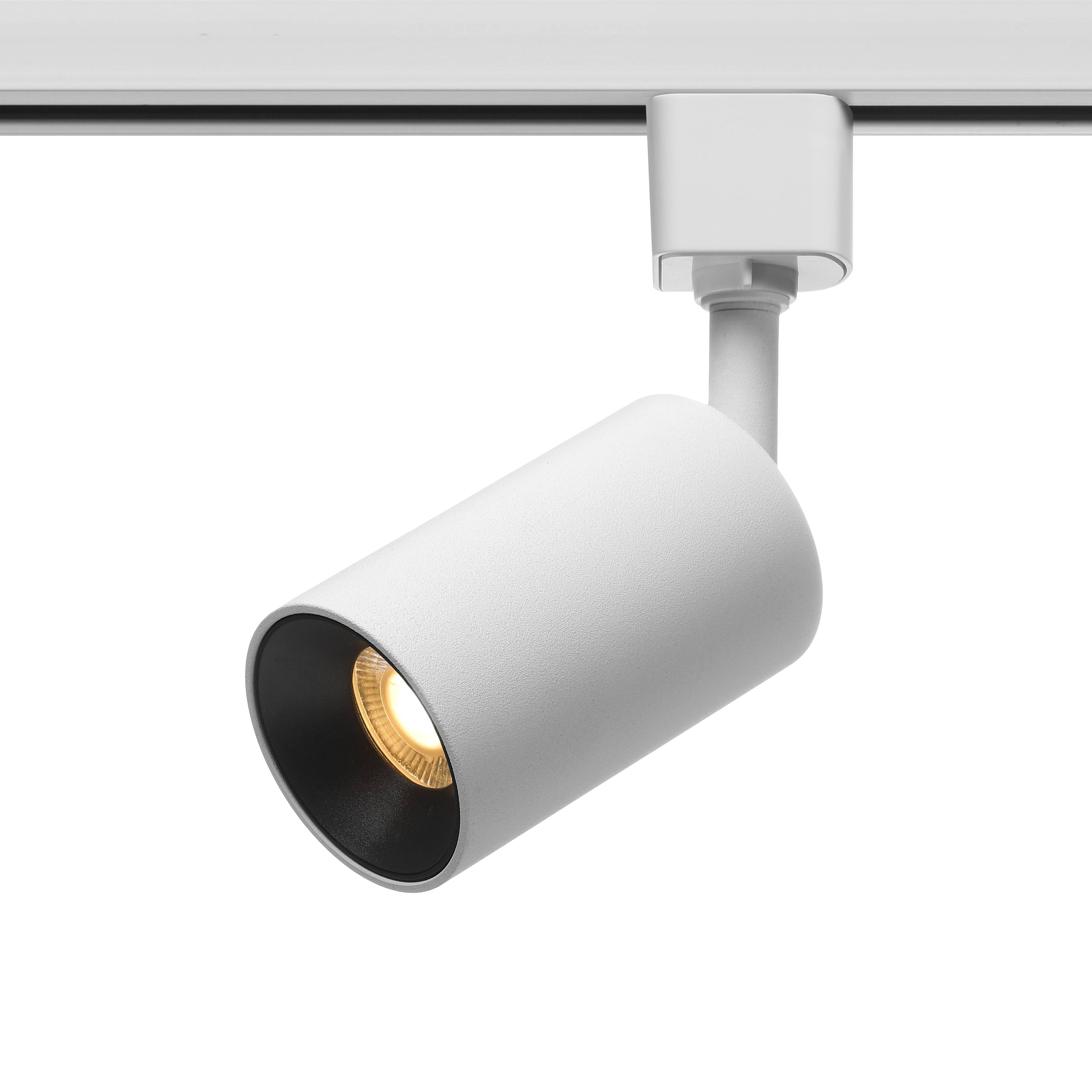 ROCA-CL1113