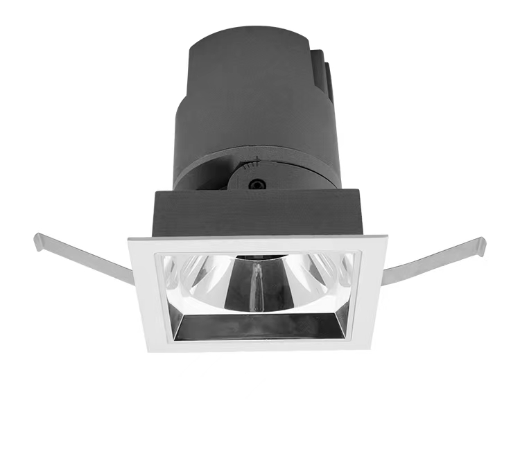 ROCASDF-S100