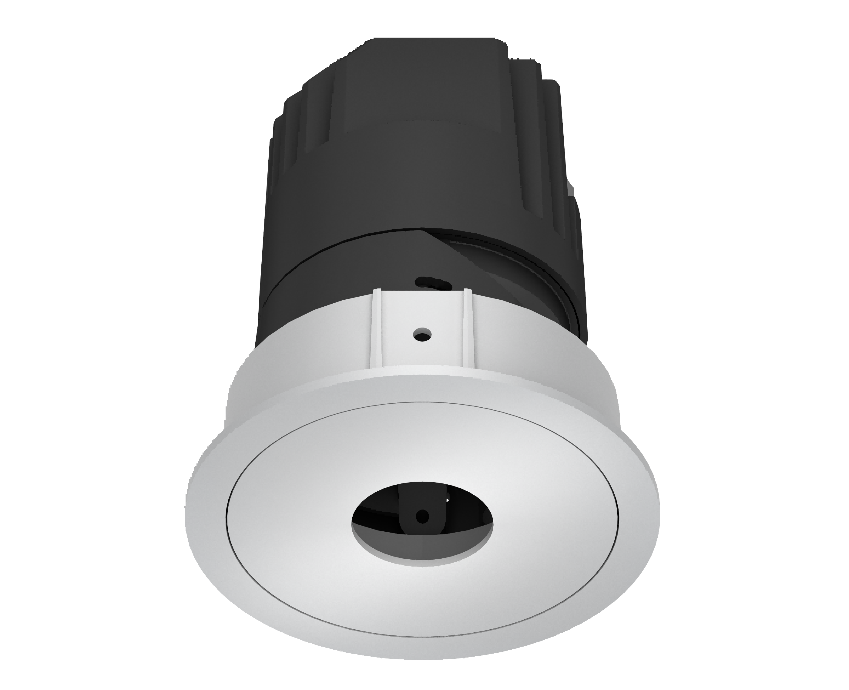 023Q-SD-12D